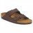 ARIZONA - BRUN - 51703/51701
